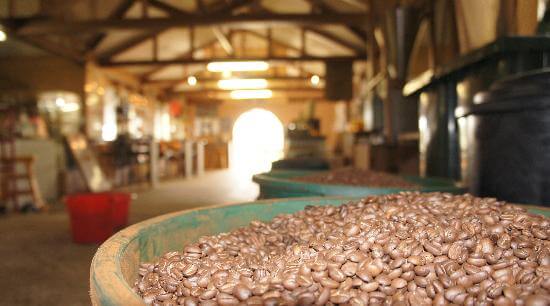 زيارة مصنع القهوة في جزيرة بينانج