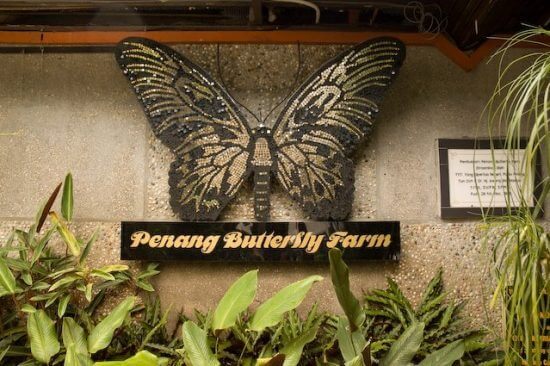 حديقة الفراشات في بينانج ماليزيا
