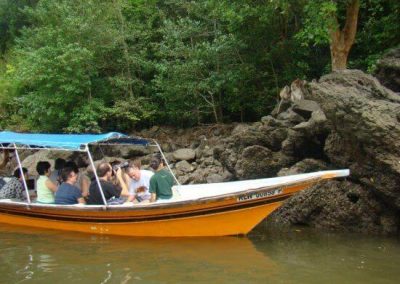 mangrove-boat