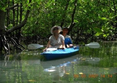 mangrove-kayak-trip-6-640